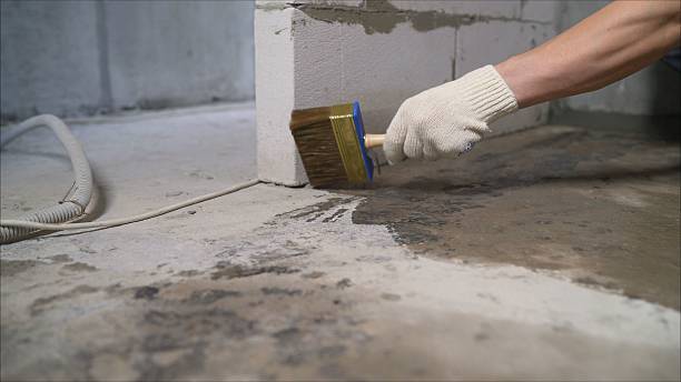 24/7 Emergency Crawl Space Encapsulation experts in Sea Girt, NJ